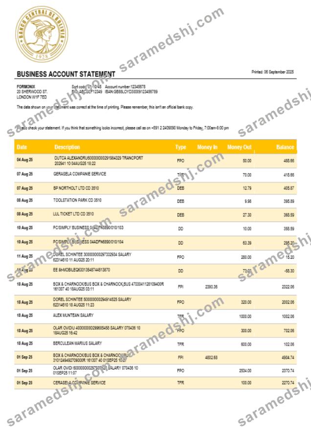 Banco Central de Bolivian enterprise statement Word and PDF format